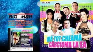 Nicu Paleru  Ma tot cheama carciuma la ea AUDIO OFICIAL 2013 [upl. by Batty]