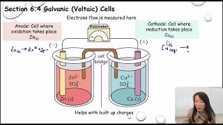 Galvanic Voltaic Cells [upl. by Narual441]