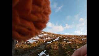 wee walk up ben lomond newyears day [upl. by Innus]