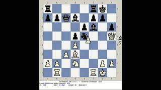 Gustafsson Jan vs Scheerer Christoph  DLM Chess 1994 Binz Germany [upl. by Ahsoek]