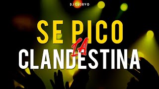 •🔥 SE PICO LA CLANDESTINA 2 🔥•  ALTA JODA  FIESTA 2021  LO MEJOR   DJ Cu3rvo [upl. by Berns828]