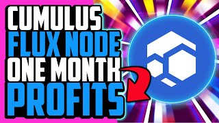 My Flux Node One Month Profitability [upl. by Aros]