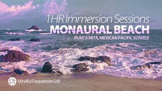 Monaural Beach Sessions in Punta Mita Mexico Unwind Relax Mediate and Focus  1hr Immersion [upl. by Kristal]