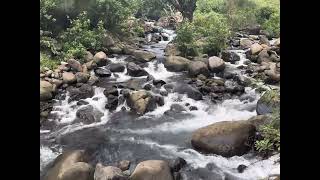 Iao Valley [upl. by Charlot]