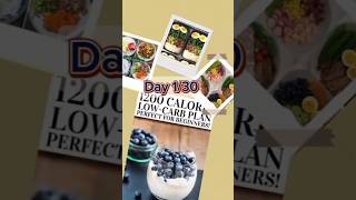 1200 calories Pakistani diet plan for weight lossfit dietplan food viralshortvideo [upl. by Bolte539]