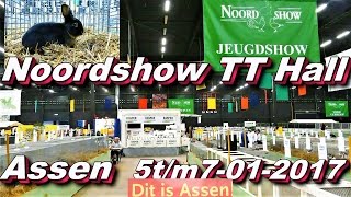 Noordshow TT Hall Assen 6 en 7 01 2017 [upl. by Yuri]