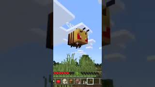 Minecraft  Getting Chased By Bees [upl. by Risan]