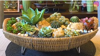 Succulent Arrangement in Repurposed Basket [upl. by Eiramassenav134]