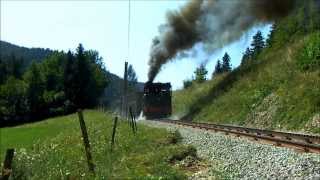 Schneebergbahn Puchberg  Zahnradbahn  Salamander  Dampfzug  Steam engine [upl. by Phillie367]