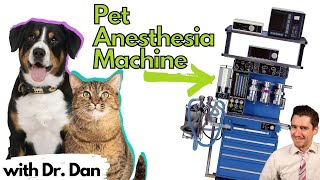 Pet Anesthesia Machine Explained by Dr Dan [upl. by Yklam]