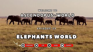 Episode 29 Creatures of Earth I Elephant World I AscendopusWorld [upl. by Erminie]