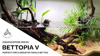 Aquascape Ideas Shallow tropical pondstyle riparium bettafish tank Bettopia V [upl. by Aittam789]