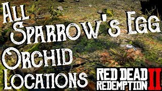 Red Dead Redemption 2  All 25 Sparrows Egg Orchid Locations Duchesses and Other Animals Exotics [upl. by Naol16]