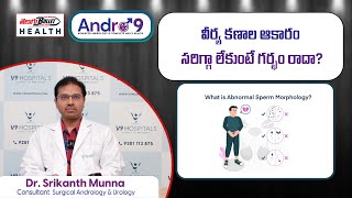 Abnormal Sperm Morphology Does It Affect to get Pregnancy  Dr Srikanth Munna  Telugu Health [upl. by Llednov]