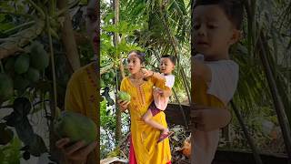 Ifraz আর Mahi papaya তুলতে গিয়ে যা দেখলো youtubeshorts funny [upl. by Sinegold]