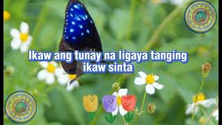 Tunay Na LigayaSong by Basil Valdez with lyrics [upl. by Maloy855]