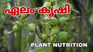 ചെടികളിലെ വളക്കുറവ് കണ്ടു പിടിക്കാം Importance Of Plant Nutrition  NPK [upl. by Atterg209]