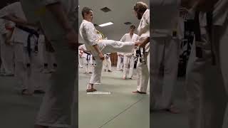 Kyokushin training  senior beginners karate martialarts [upl. by Claudie]