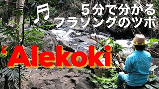 ♪ʻAlekoki（アレコキ）【サクッと解説！ハワイアンソング8】 [upl. by Ecnarret889]