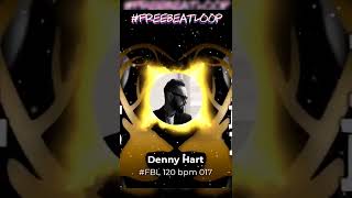 FREE BEAT LOOP  017 FBL 120 bpm 017 [upl. by Len]