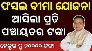 Pradhan Mantri Fasal Bima Yojana Apply Online 2024Pradhan Mantri Fasal Bima Yojana New Update Pmfby [upl. by Isidro]