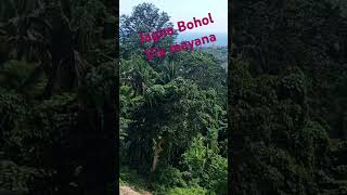 Jagna Bohol view nature travel [upl. by Aihcropal]