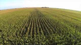 Drones Poised to Elevate Agricultural Efficiency [upl. by Wilder96]