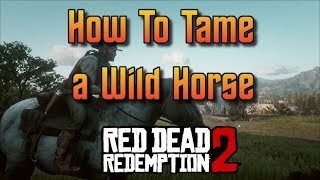 Red Dead Redemption 2  How To Tame a Wild Horse [upl. by Schaumberger509]