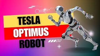 Tesla Optimus Robot Major Breakthroughs in Navigation and More [upl. by Dionis792]