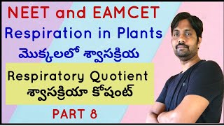 Respiratory Quotient  శ్వాసక్రియా కోషంట్  Respiration in Plants  Inter second year Botany [upl. by Anniram]