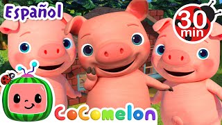 Los tres cerditos  Canciones Infantiles  Caricaturas para bebes  CoComelon en Español [upl. by Elleirb]