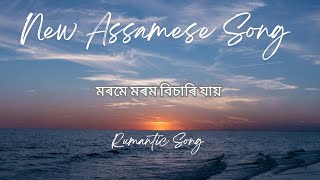 Morome Morom Bisari মৰমে মৰম বিচাৰি New Assamese Song moromemorombisare assamesemusic [upl. by Ahseirej]