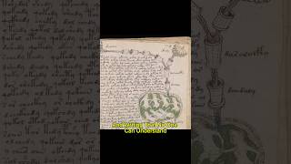 Voynich Manuscript [upl. by Savitt]