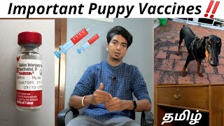 Important VACCINE for PUPPIES  VACCINATION CHAT  TAMIL [upl. by Carmen]