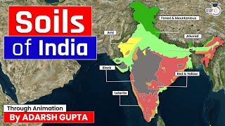 Soils of India Explained through 3D Animation  Indian Geography  UPSC GS1 [upl. by Marylou989]