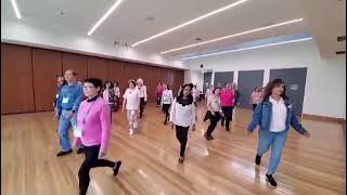 The Nearest To Perfect beginner line dance chor Eue Hee Yoon amp Jo Ann music Owen Mac [upl. by Ardnekahs]