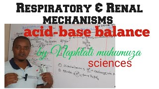 AcidBase balance Respiratory and Renal Mechanism  Ph regulation [upl. by Eanar666]