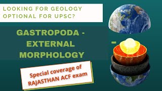 GASTROPODA Mollusca External Morphology  Geology Palaeontology UPSCGeologyOptional RPSC ACF [upl. by Grimonia230]