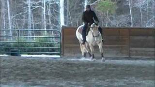 First Western Dressage lesson with Eugene Abello [upl. by Frear48]