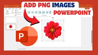 How to Add PNG Images in PowerPoint 🖼️  Quick and Easy Guide  Professional Presentations Made Easy [upl. by Gnex]