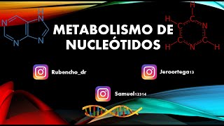 Metabolismo De Nucleótidos [upl. by Urion7]