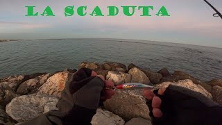 la scaduta [upl. by Cissie]