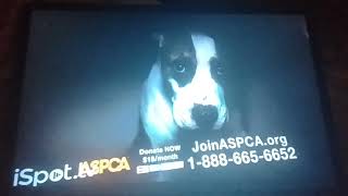 ASPCA TV Commercial quotEvery Day In Americaquot 2022 [upl. by Gaynor]