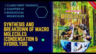 Condensation and Hydration  Synthesis amp Breakdown of MacromoleculesPolymers for Class First year [upl. by Rilda472]