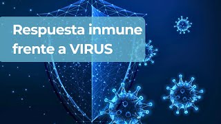 Cómo funciona la respuesta inmune frente a virus [upl. by Xilef]