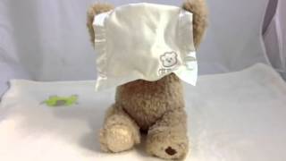 Peekaboo Bear  GUND Talking Teddy Bear Gift [upl. by Baiel]