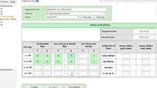 HMIS Data Entry Tutorial [upl. by Atsugua743]