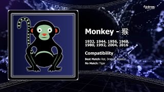 Monkey  Chinese Horoscope  May 2016 [upl. by Sausa]