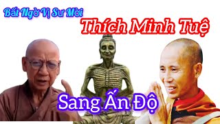 Thích Minh Tuệ Được Sư Huyền Diệu Mời Sang Ấn Độ [upl. by Drusy]