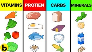 How The Six Basic Nutrients Affect Your Body [upl. by Alair361]